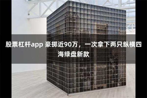 股票杠杆app 豪掷近90万，一次拿下两只纵横四海绿盘新款