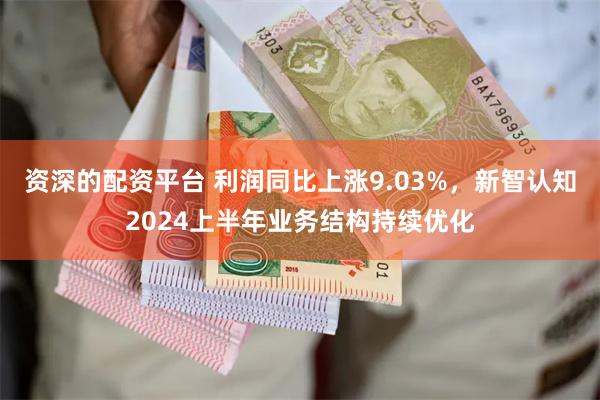 资深的配资平台 利润同比上涨9.03%，新智认知2024上半