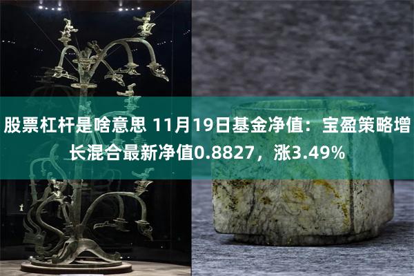 股票杠杆是啥意思 11月19日基金净值：宝盈策略增长混合最新