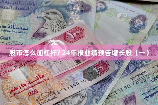 股市怎么加杠杆? 24年报业绩预告增长股（一）