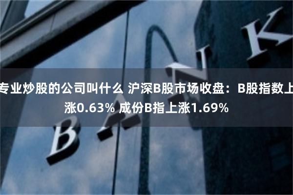 专业炒股的公司叫什么 沪深B股市场收盘：B股指数上涨0.63