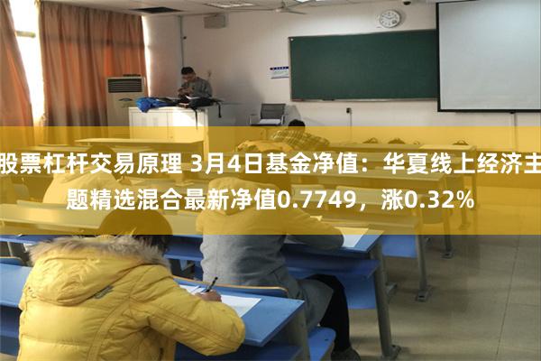 股票杠杆交易原理 3月4日基金净值：华夏线上经济主题精选混合