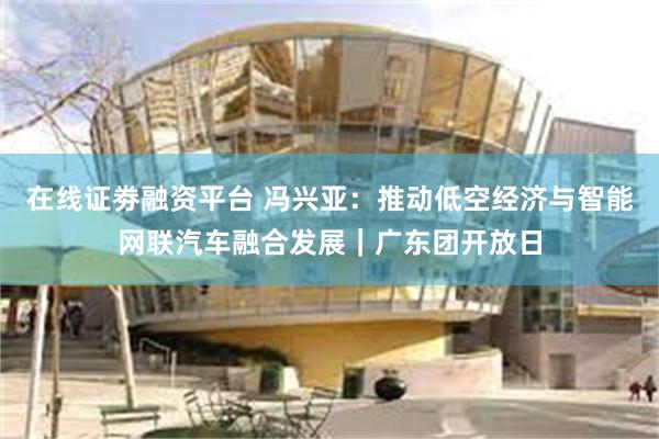 在线证劵融资平台 冯兴亚：推动低空经济与智能网联汽车融合发展